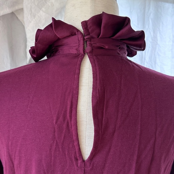Banana Republic Tudor Inspired Oxblood Ruffle Neck Blouse - Picture 7 of 8